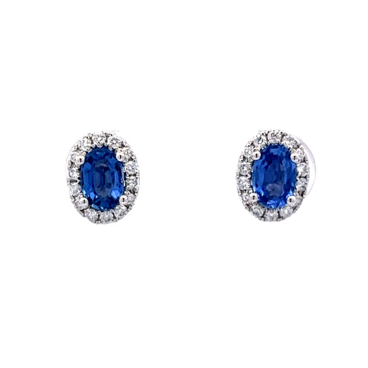 Blue Sapphire & Diamond Earrings in 14k White Gold