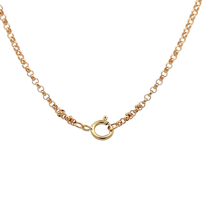 Rolo Chain Necklace in 14k Yellow Gold