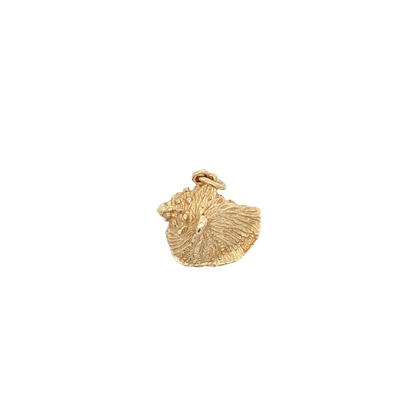 Conch Shell Charm in 14k Yellow Gold