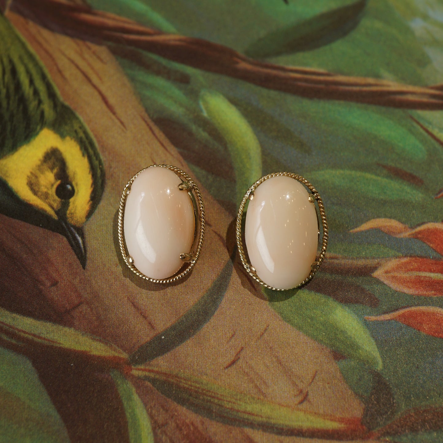 Mid-Century Angel Skin Coral Earrings in 14k Yellow Gold