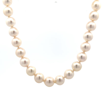 16" Cultured Pearl Necklace in 14k Yellow Gold