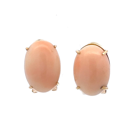 Cabochon Angel Skin Coral Earrings in 14k Yellow Gold