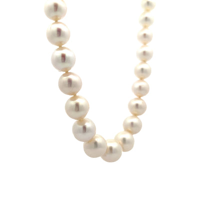 Classic Pearl Necklace Yellow Gold