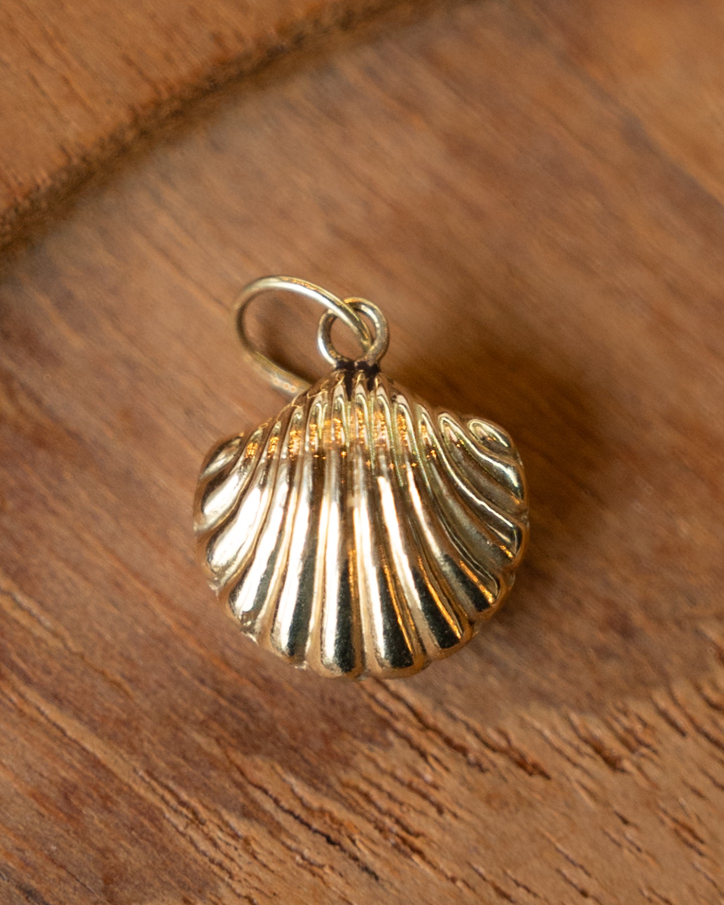 Seashell Charm in 14k Yellow Gold