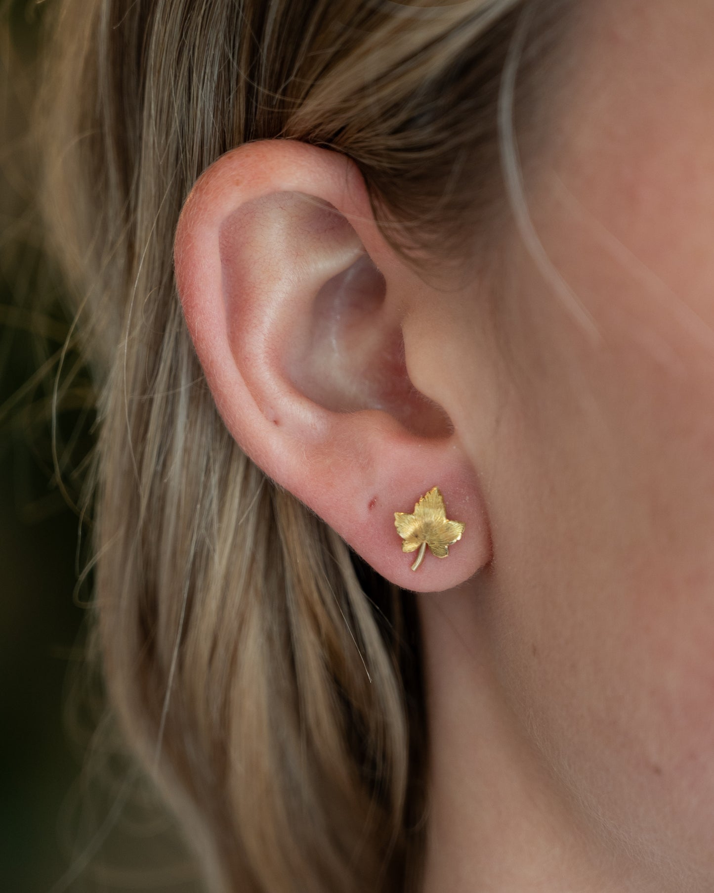 Leaf Stud Earrings 14k Yellow Gold
