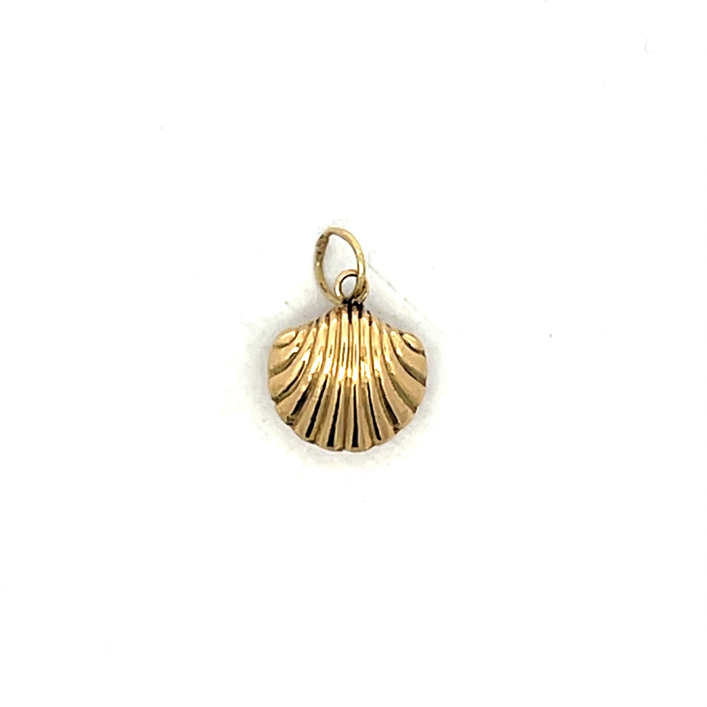 Seashell Charm in 14k Yellow Gold