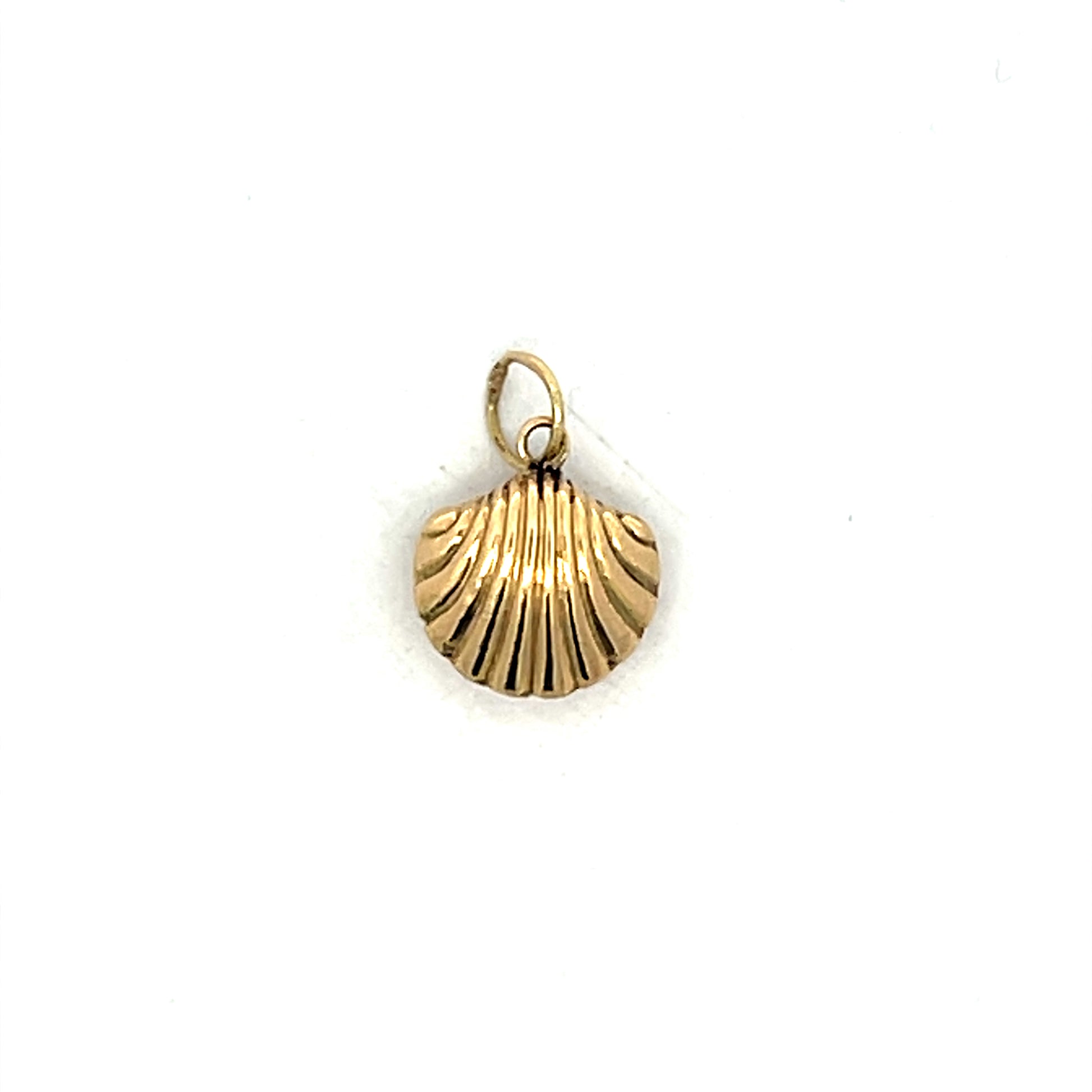 Seashell Charm in 14k Yellow Gold