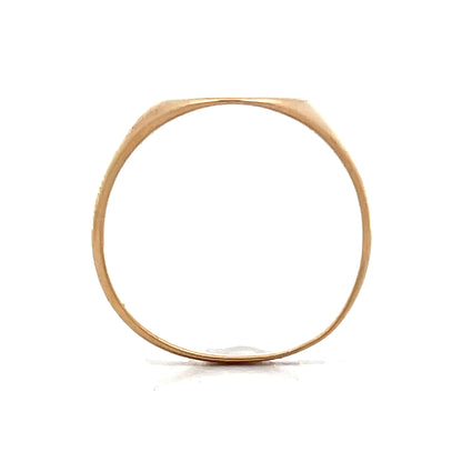 Oval Shaped Signet Ring in 14k Yellow Gold