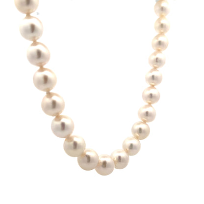 16" Cultured Pearl Necklace in 14k Yellow Gold