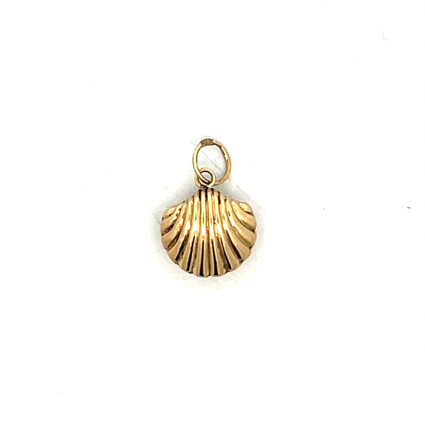 Seashell Charm in 14k Yellow Gold