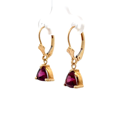 3.58 Trillion Garnet Drop Earrings in 14k Yellow Gold