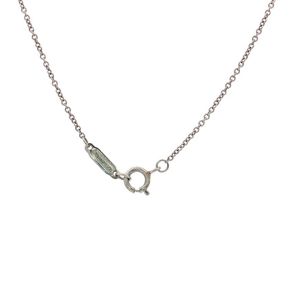 Tiffany & Co Pear Aquamarine Soleste Pendant Necklace Platinum