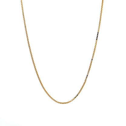 20 Inch Box Chain in 14k Yellow Gold