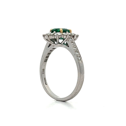 .75 Oval Emerald & Diamond Cocktail Ring in Platinum