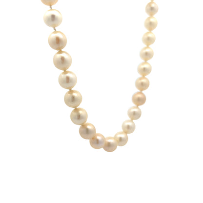 18 Inch Pearl Necklace Strand in 14k Yellow Gold