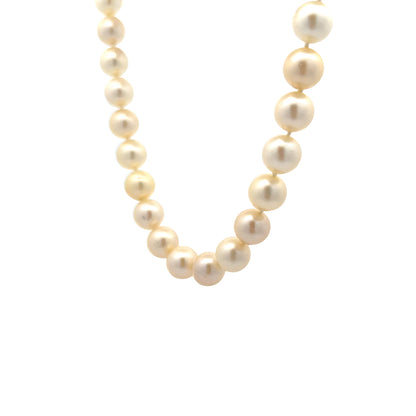 Natural Pearl Bead Necklace in 14k Yellow Gold