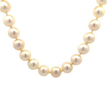 Mini Pearl Necklace - Gold - 18-20 in