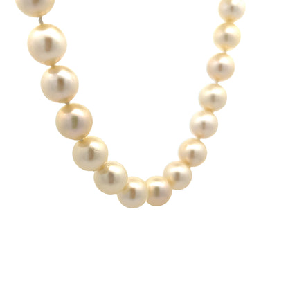 20 Inch Classic Pearl Necklace in 14k Yellow Gold