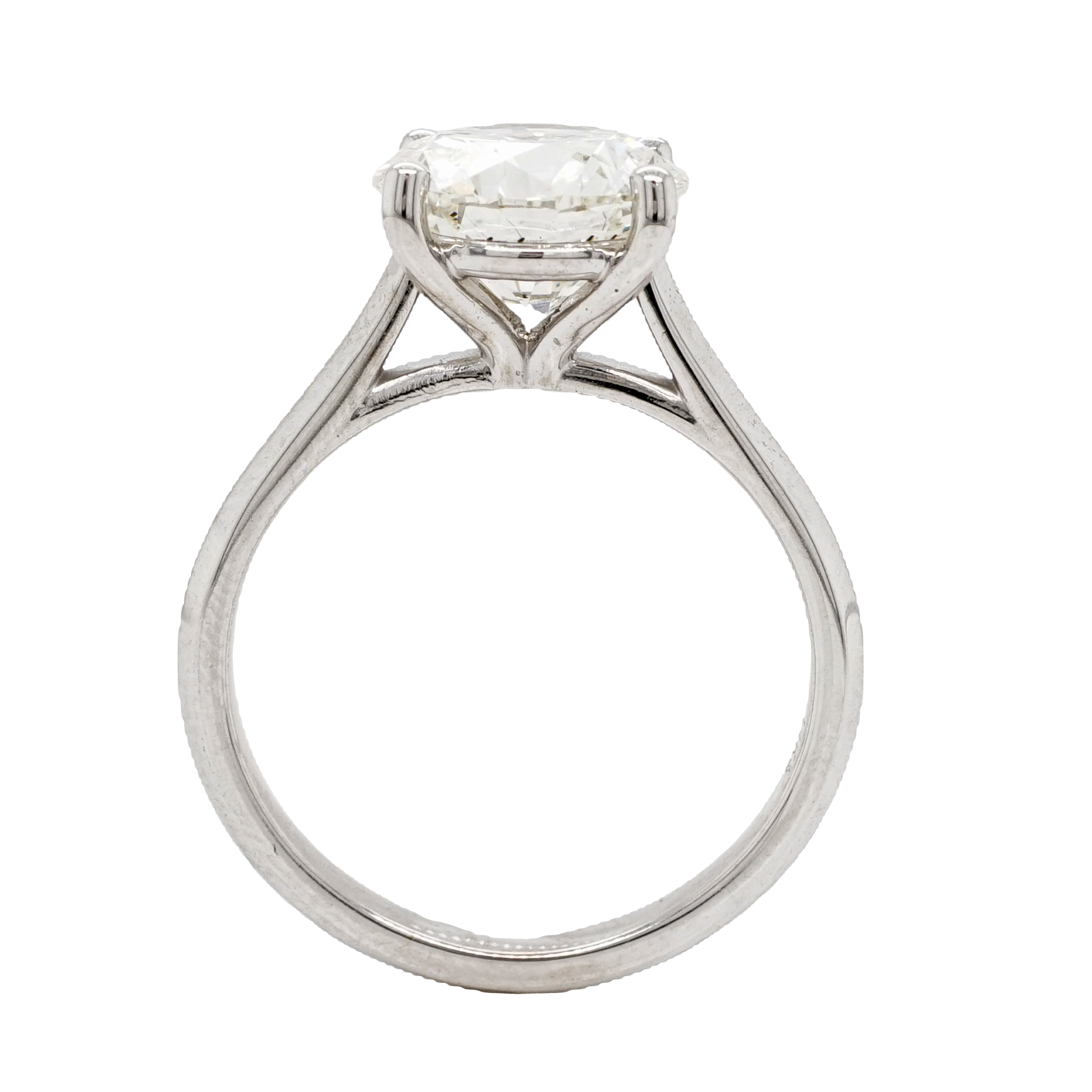 3 Carat GIA Diamond Engagement Ring in 14k White Gold