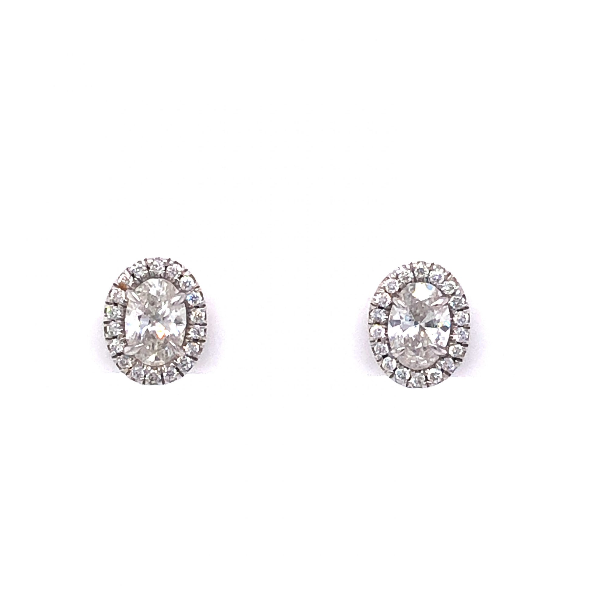 Diamond Halo Earring Studs in 18k White Gold