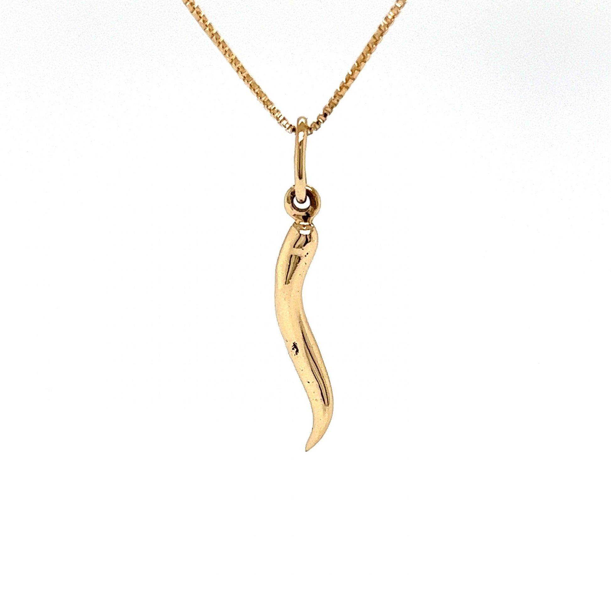 Lucky Cornicello Pendant Necklace in 14k Yellow GoldComposition: 14 Karat Yellow GoldTotal Gram Weight: 4.2 gInscription: 14k 
