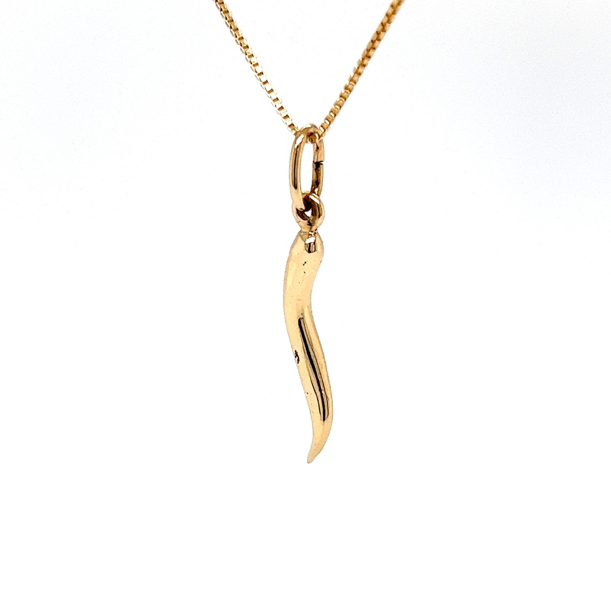Lucky Cornicello Pendant Necklace in 14k Yellow GoldComposition: 14 Karat Yellow GoldTotal Gram Weight: 4.2 gInscription: 14k 