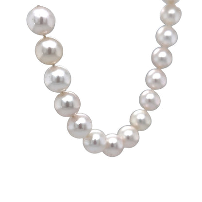 Necklace Modern Pearls & .10 Round Brilliant Cut Diamonds in 14k Yellow Gold