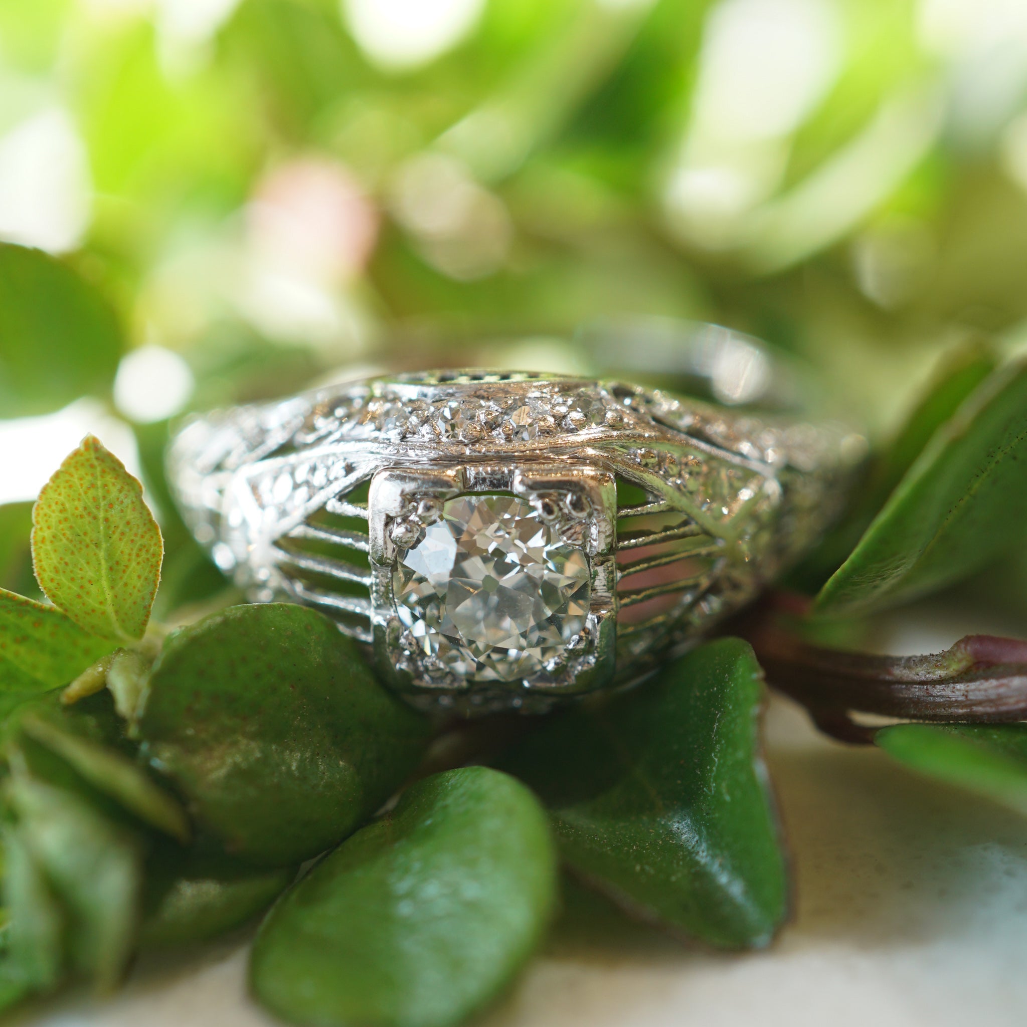 Rohinee Diamond Engagement Platinum Ring Online Jewellery Shopping India |  Platinum 950 | Candere by Kalyan Jewellers