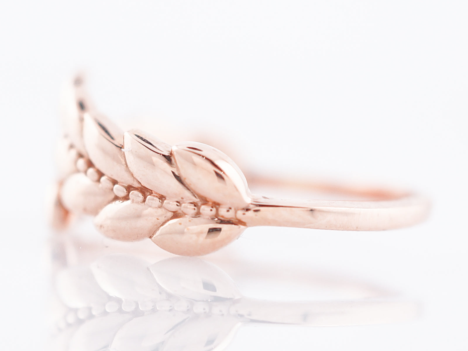 Feather Ring Modern in 14k Rose Gold
