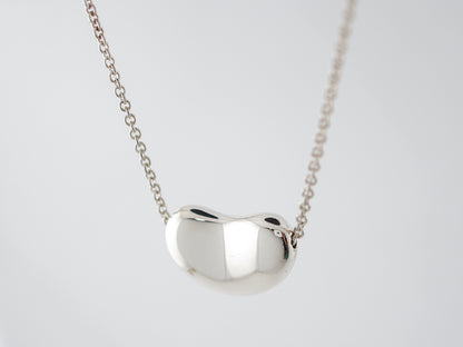 Tiffany & Co. Elsa Peretti Necklace Modern in Sterling Silver